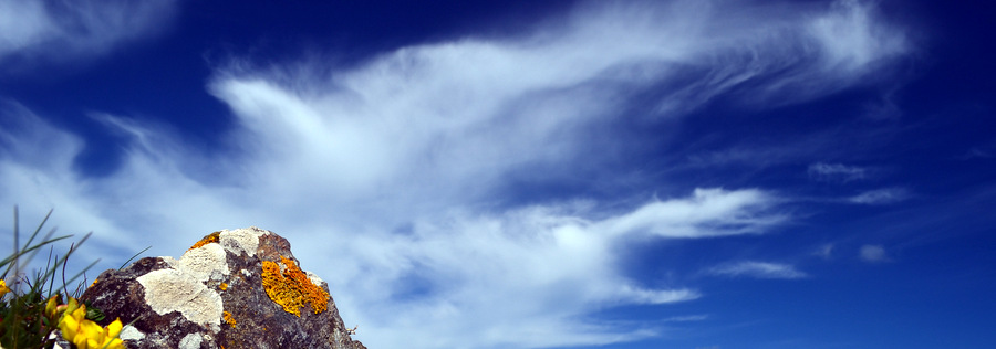 The Guides, they&nbsp;understand.