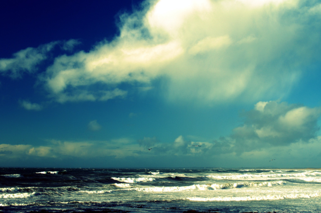 Where do I find&nbsp;things?