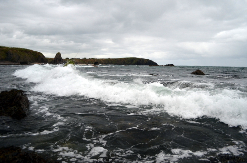 bass fishing wexford