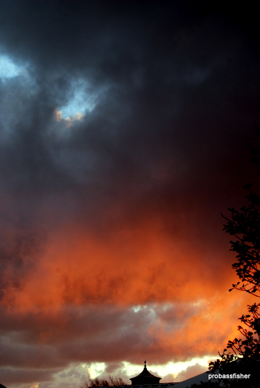 bass fishing in wexford