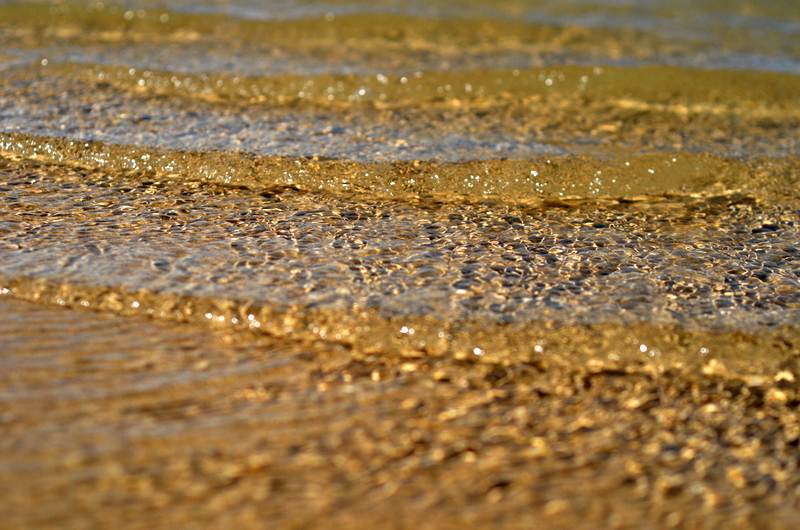 a sense of the world