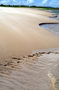 Bass Fishing Ireland