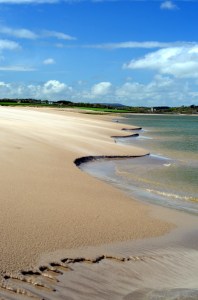 Bass fishing Ireland