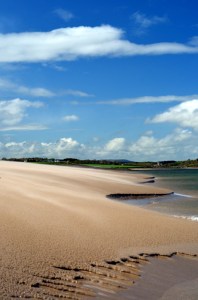 Bass fishing Ireland