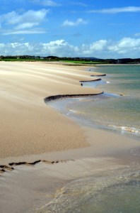 Bass fishing Ireland