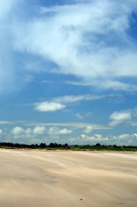 Bass fishing Ireland