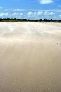 Bass fishing Ireland