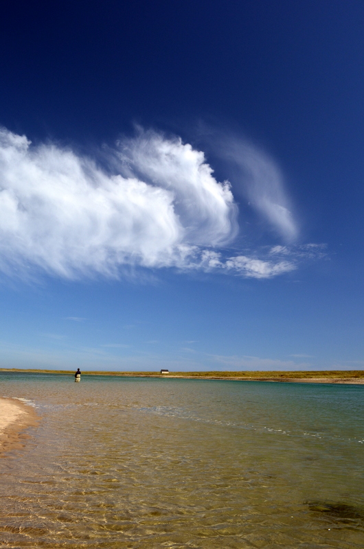 Bass fishing wexford