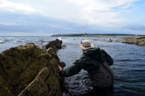 Bass fishing in Ireland