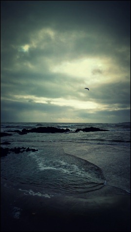 Bass fishing in Ireland