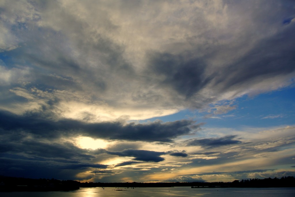 Bass fishing wexford