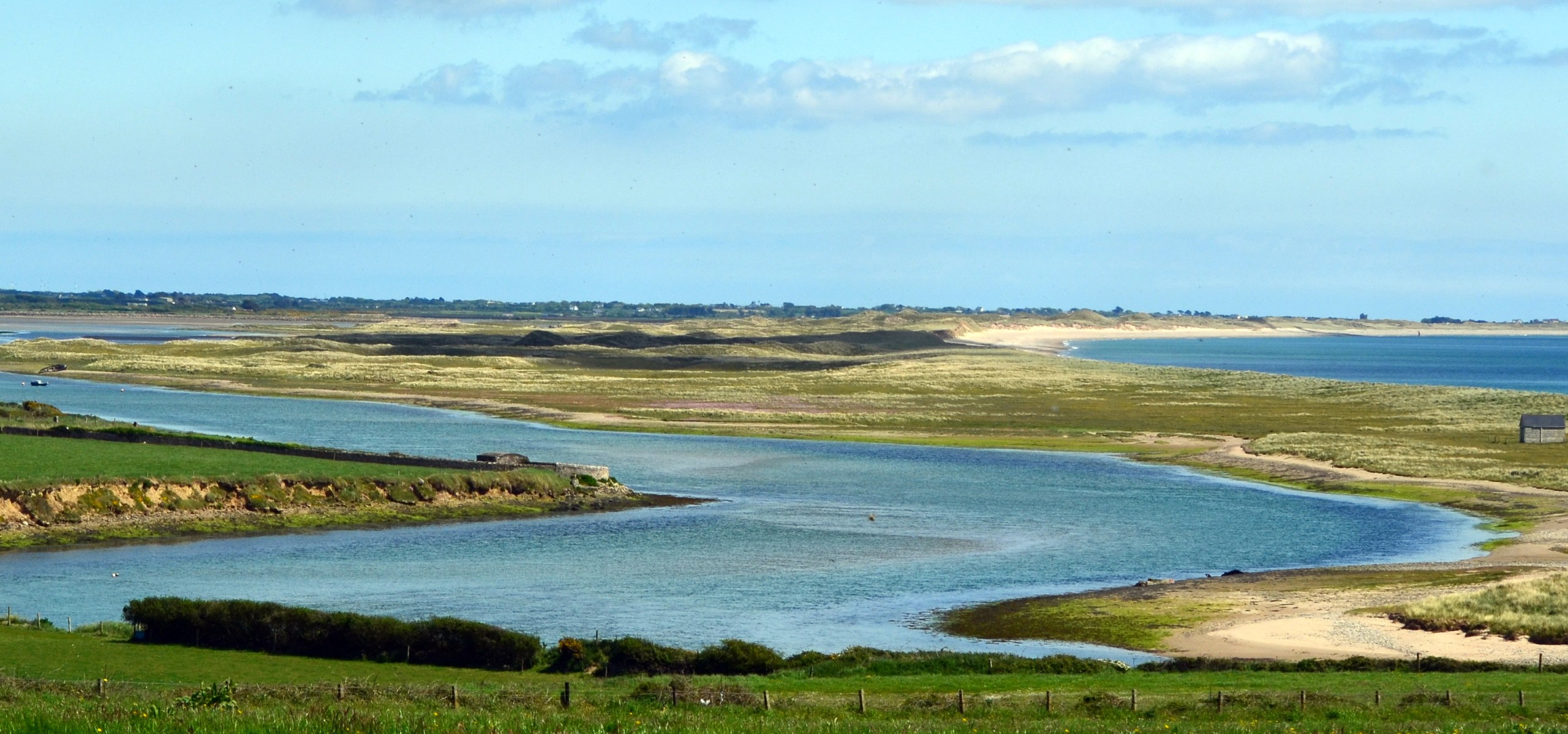 Bass fishing in Wexford