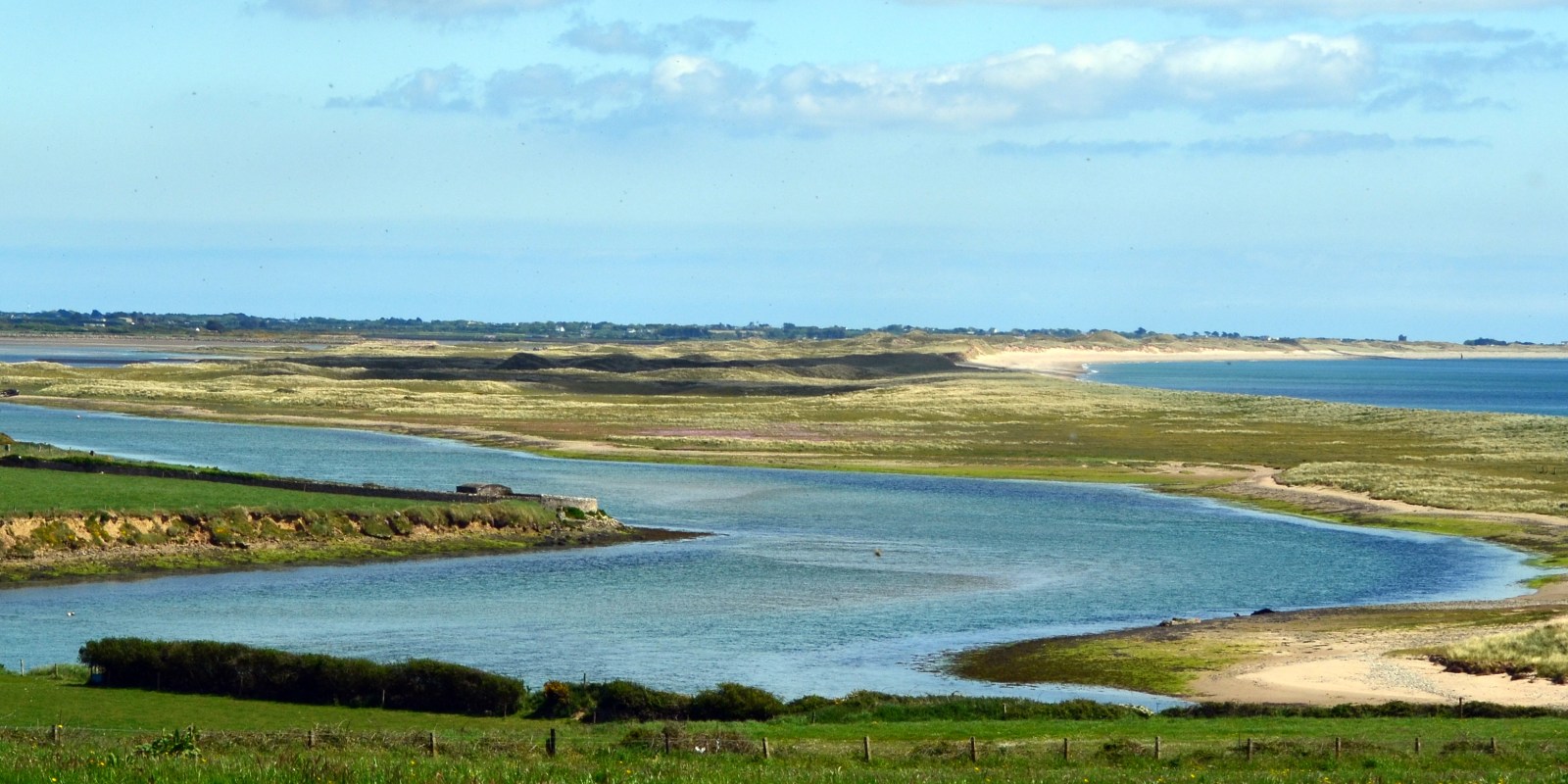 Bass fishing in Wexford