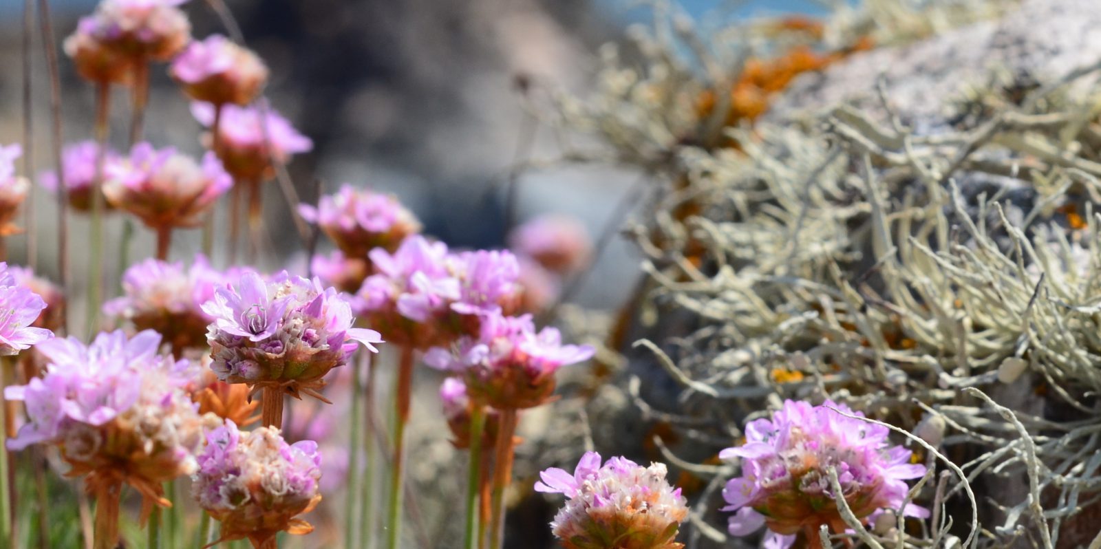 bass fishing Jim Hendrick