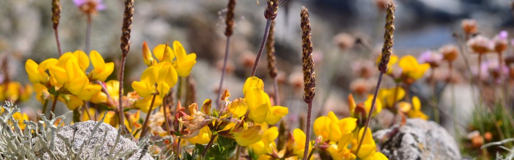 Eco tourism &&nbsp;Guiding