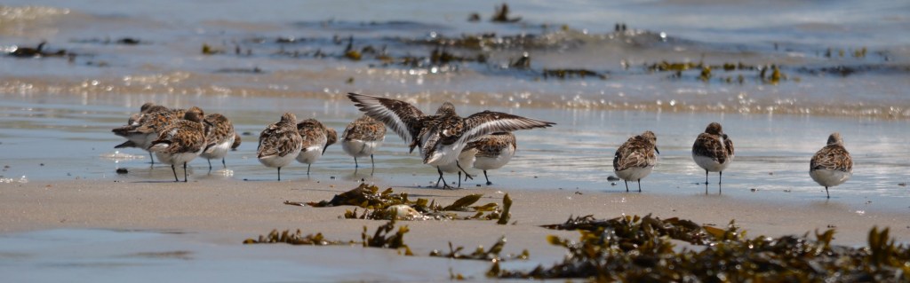 Where are we now with our bass&nbsp;fishing?