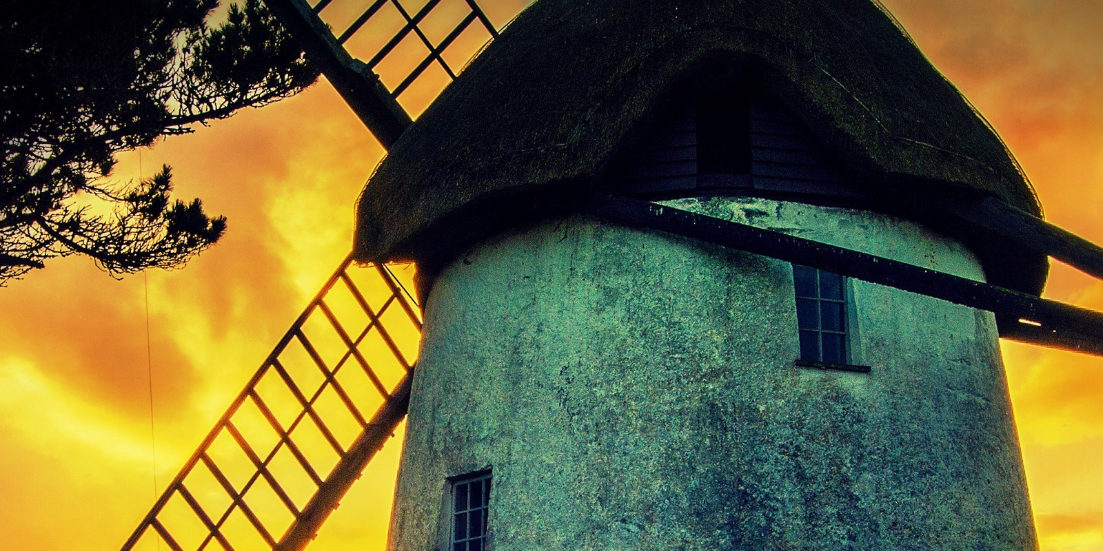 Bass fishing Wexford