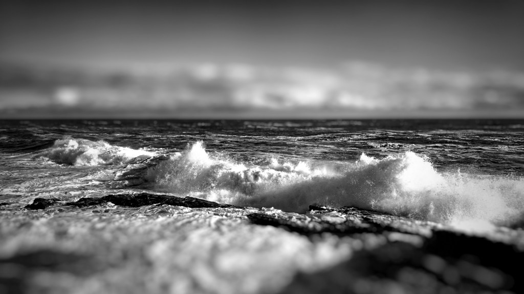 Saltwater Fly Fishing&ndash;Week October&nbsp;2016