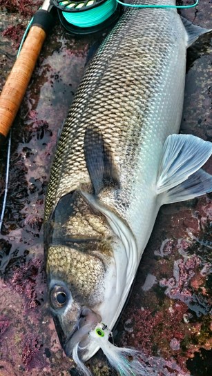 Bass fishing Jim Hendrick