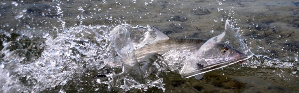 Hunting the invisible