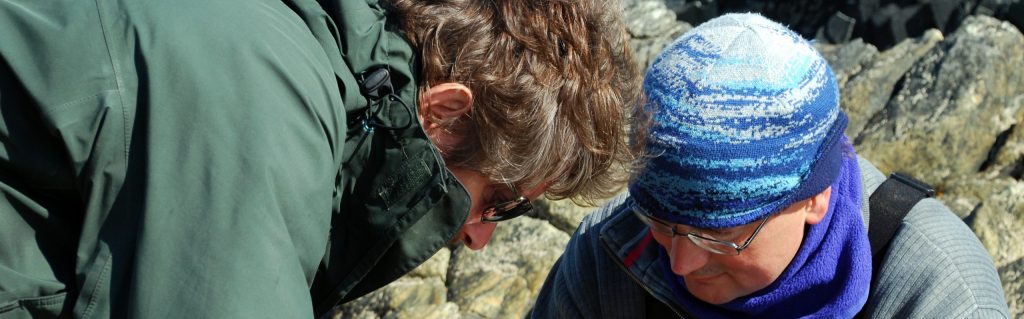 Reflections on coastal guiding in&nbsp;Wexford