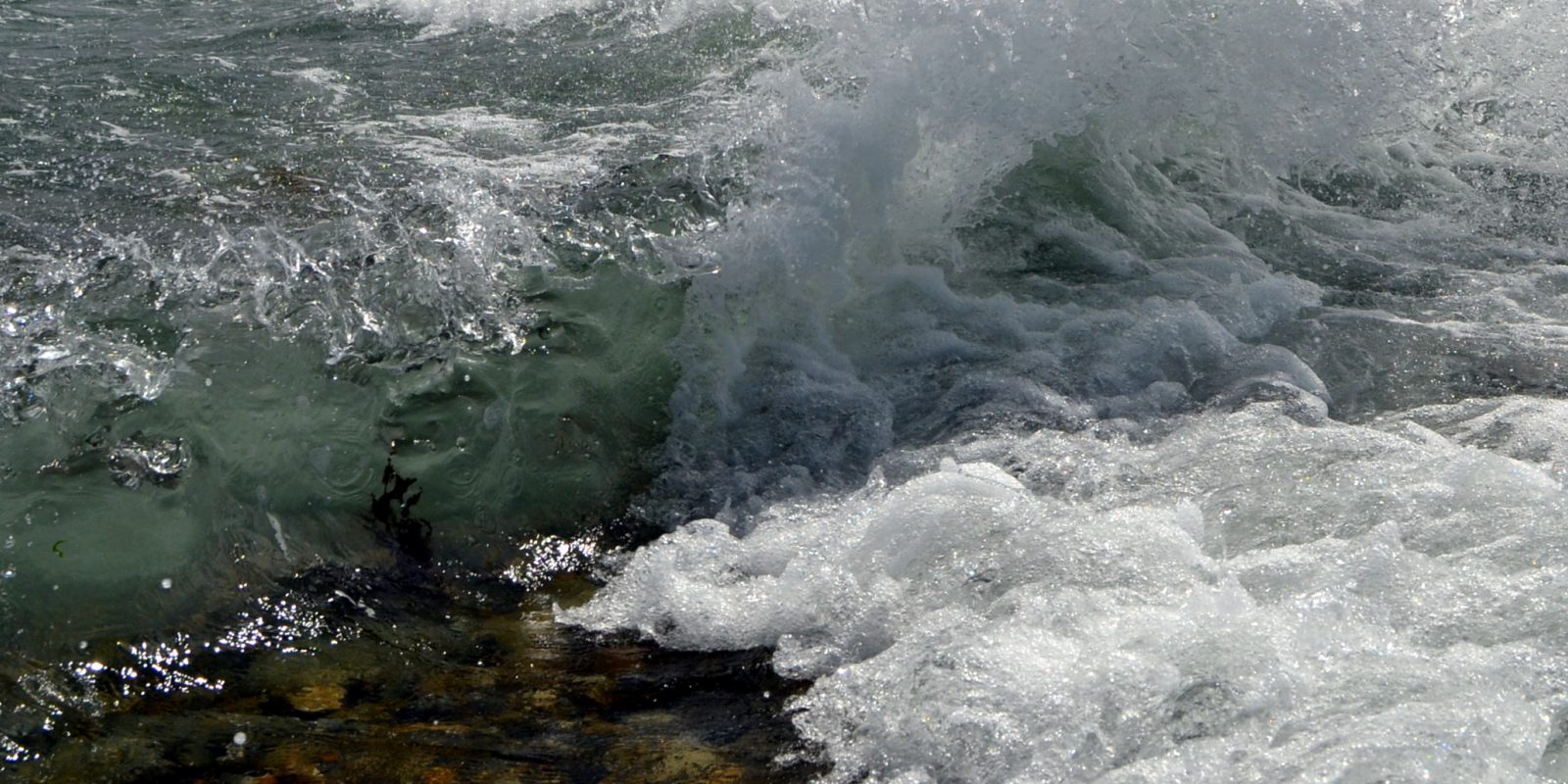 Bass fishing Ireland Jim Hendrick