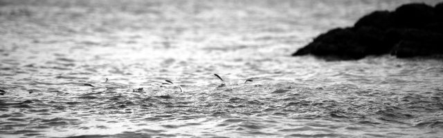 Bass fishing Jim Hendrick