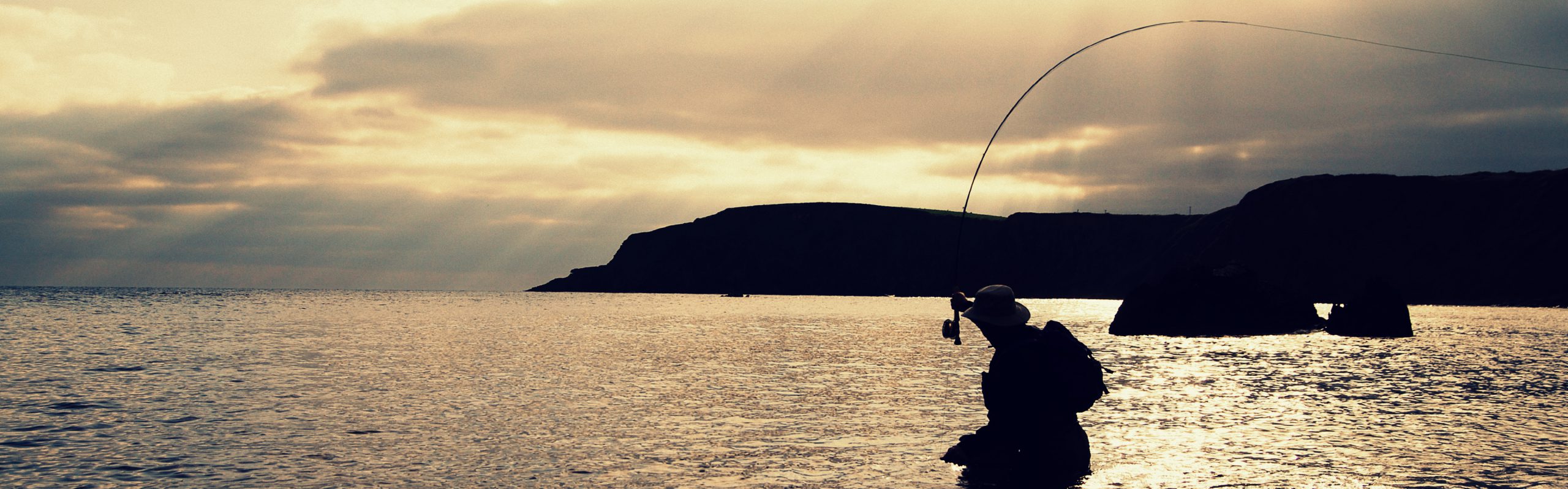 bass fishing wexford