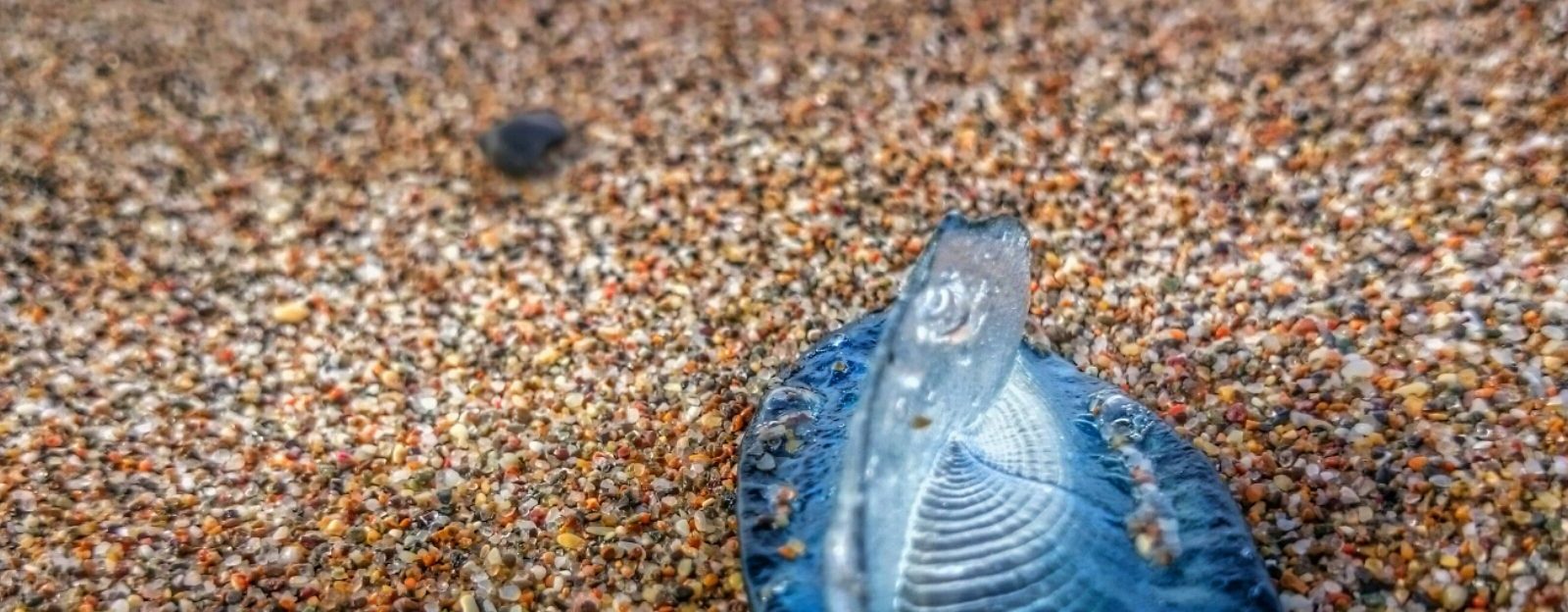 Bass fishing Jim Hendrick