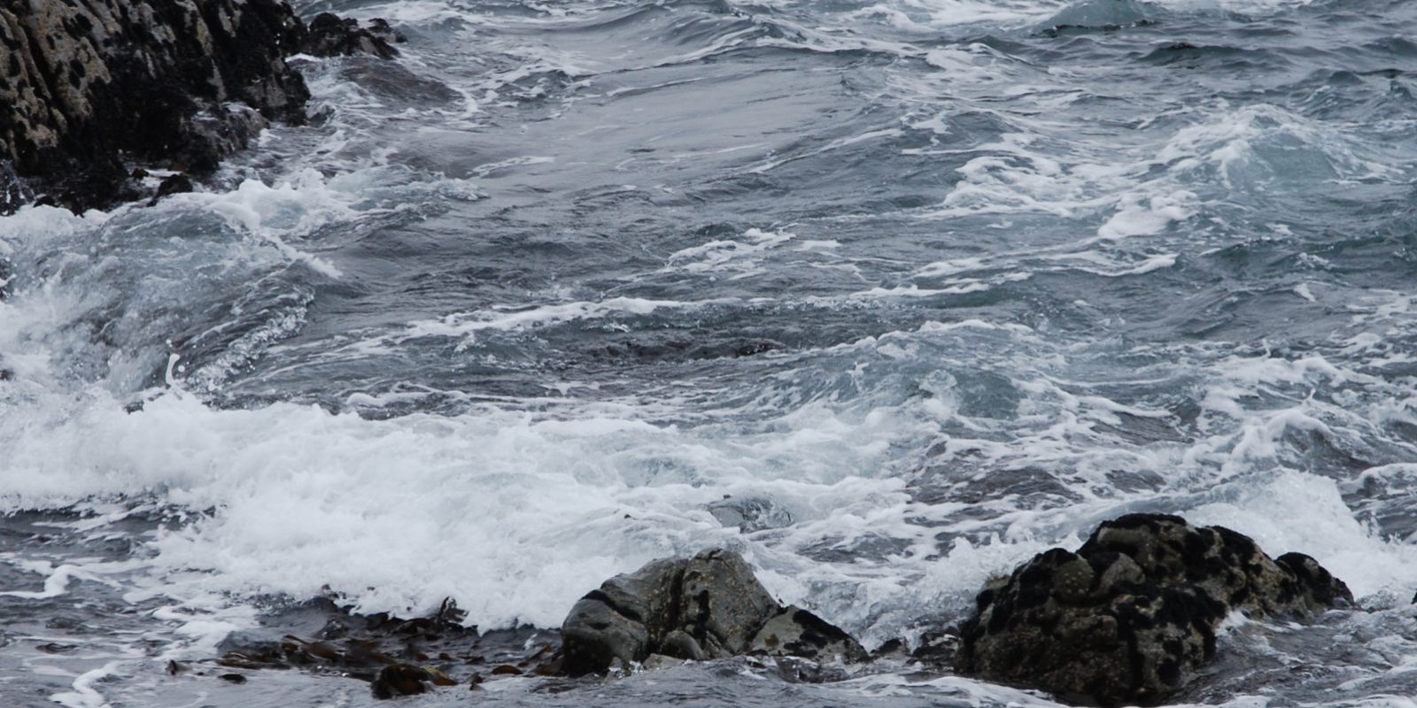 bass fishing Jim Hendrick