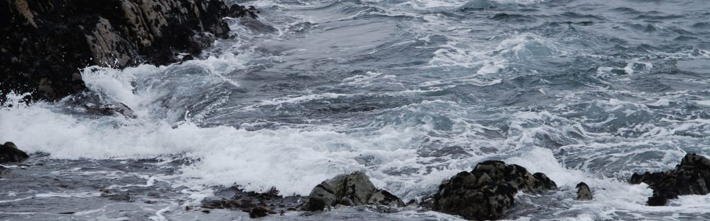 Autumn Saltwater Fly&nbsp;Fishing