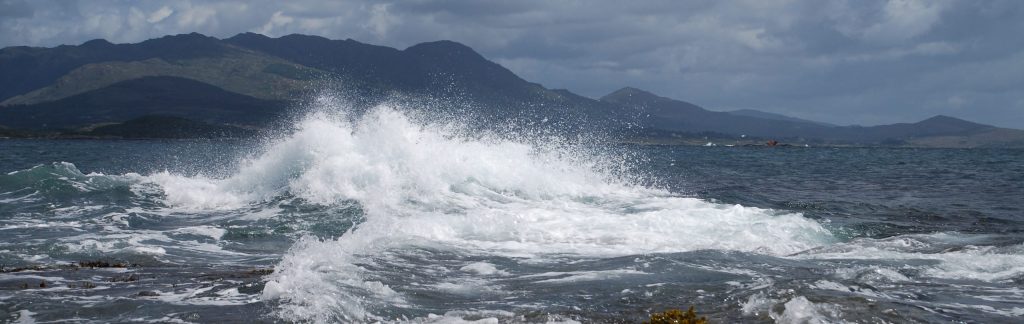 Where and when we find the&nbsp;fish