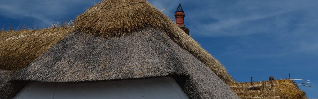 A different sense of life&nbsp;perhaps