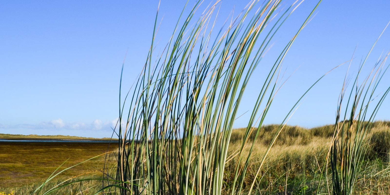 Bass fishing Jim Hendrick