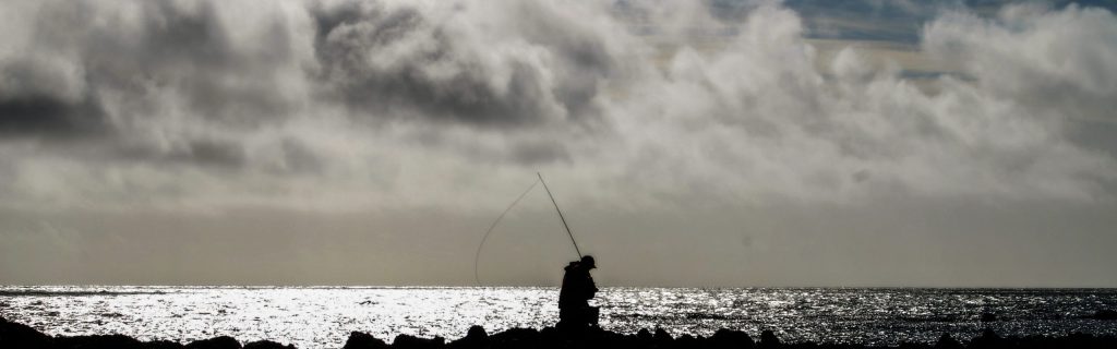 The double hander on the&nbsp;coast