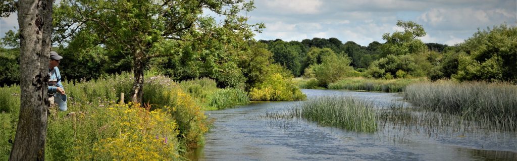 Spring on a&nbsp;river