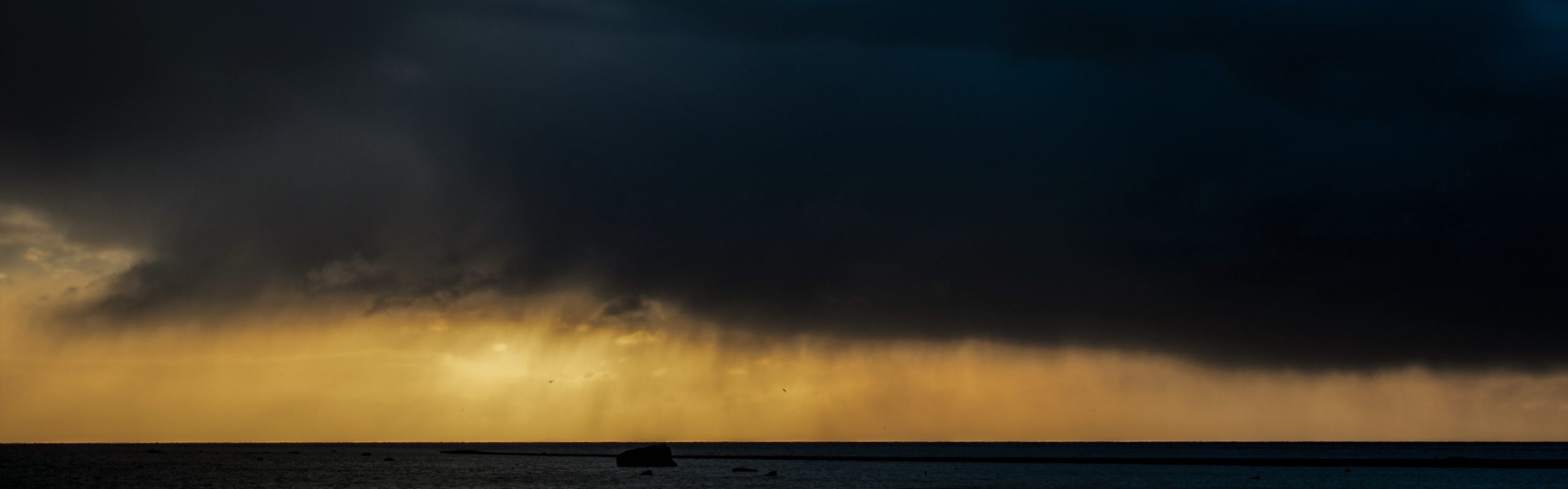 Bass fishing Ireland