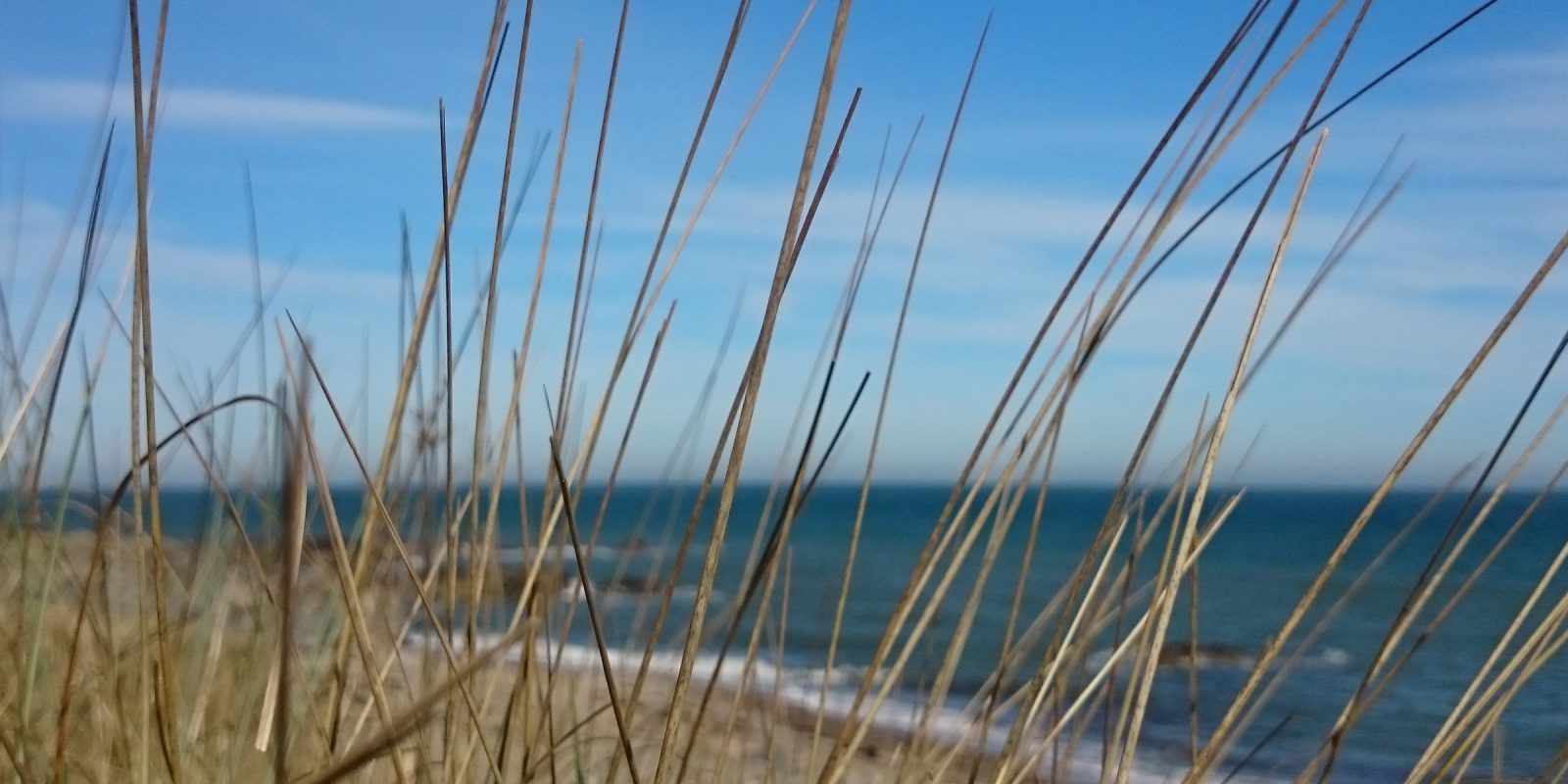 bass fishing Jim Hendrick