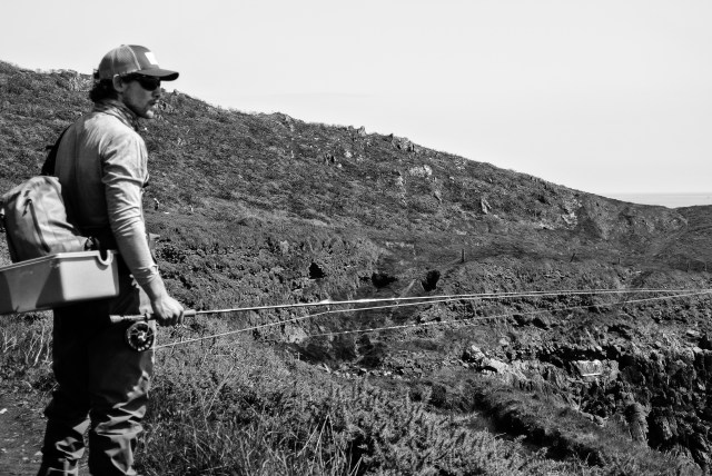 bass fishing Ireland