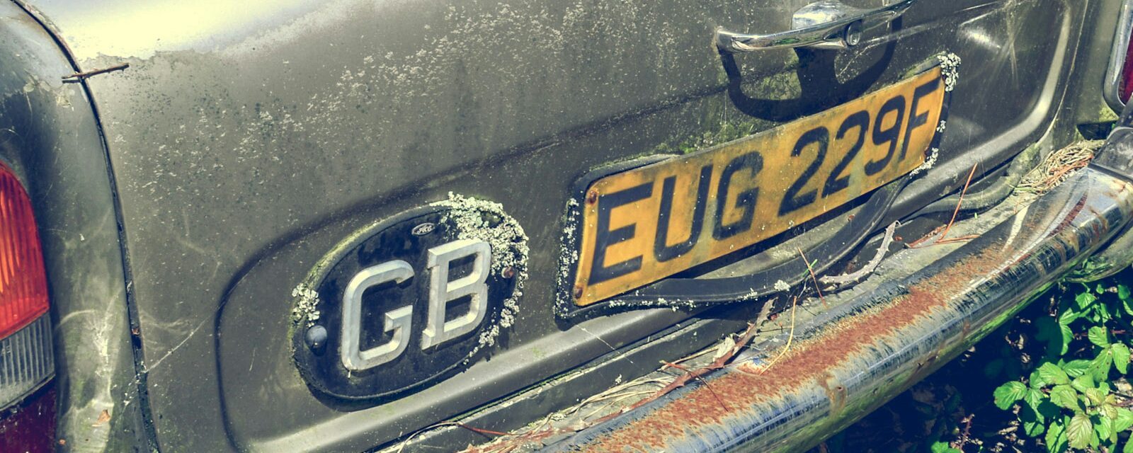 bass fishing Jim Hendrick