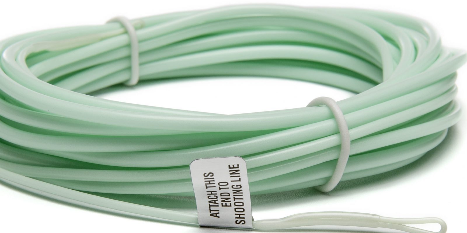 Bass fishing Ireland