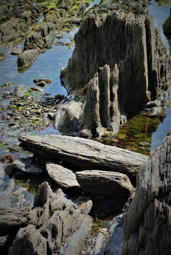 bass fishing Ireland Jim Hendrick