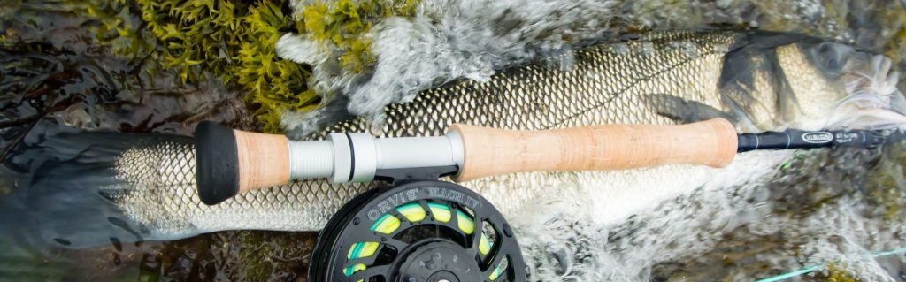 Afternoon, mesmerised