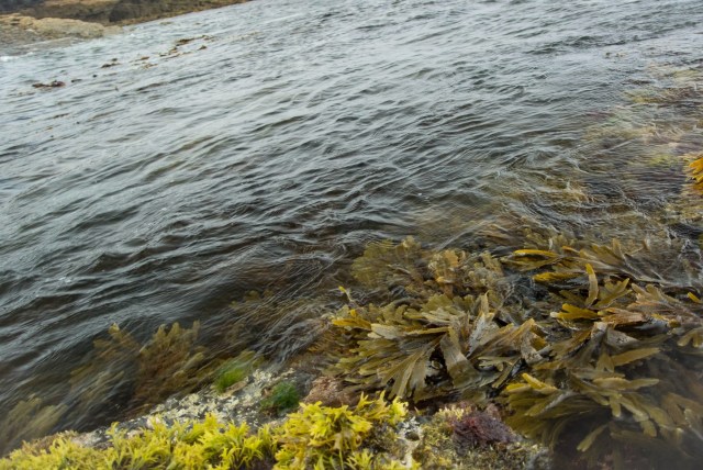 Bass fishing Jim Hendrick