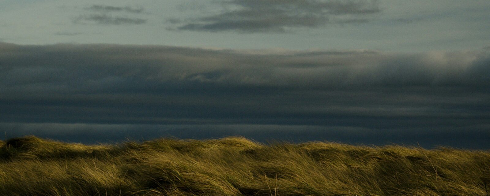 bass fishing Jim Hendrick