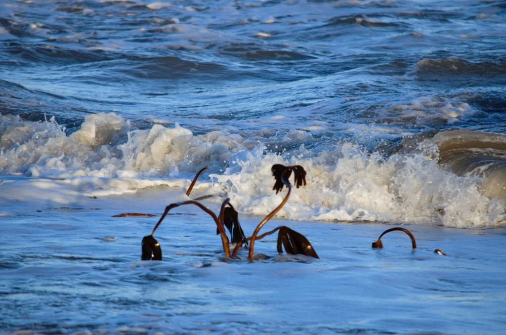 In decline – a solution of bravery