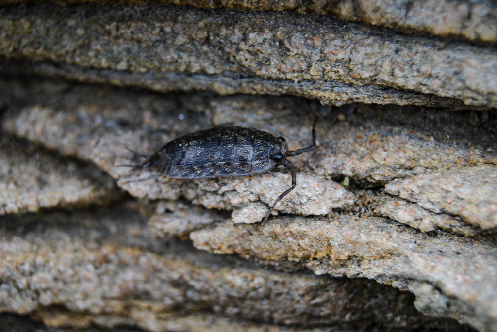 Thirtyards – from Jim&nbsp;Hendrick