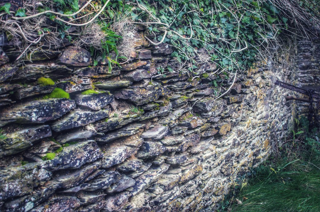 Derelict Village (1960)