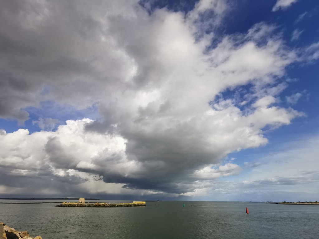 “Seabass – Crisis, Value,&nbsp;Solution”