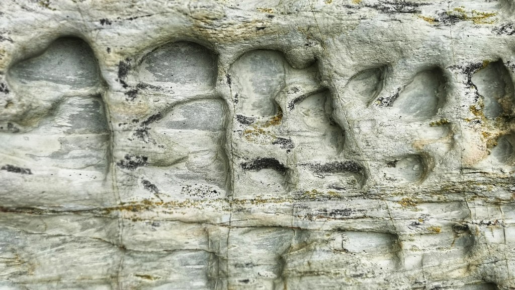 The environment changes